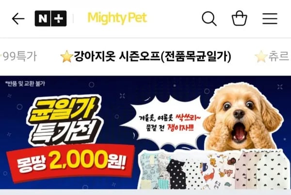 마이티펫 강아지 옷 특가 할인 모음 (2,000원/3,000원)