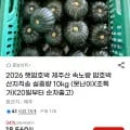 햇밤호박 제주산 속노랑 밤호박 10kg (못난이) (17,080원 / 무배)
