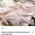 하림 생닭 13호 닭백숙용 (9,620원/무료)