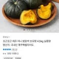 제주 미니 밤호박 보우짱 4.5kg (5,900원/무료)1