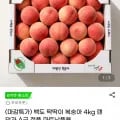 백도 딱딱이 복숭아 4kg 랜덤과 A급 정품 마트납품용(15,810원/무료)