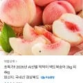 026 딱딱이 백도복숭아 2kg 외 (10,790원 / 무료)2