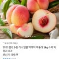 딱딱이 복숭아 2kg 소과 (9,790원 / 무료배송)