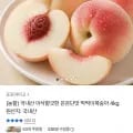 국내산 딱딱이복숭아 4kg (18,080원/무배)