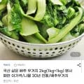 국산 삶은 배추 우거지 2kg (6,660원/무배)