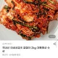 국내산 겉절이 2kg (9,990원/무료)