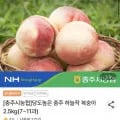 충주 하늘작 복숭아 2.5kg 7~1과 (15,920원/무료)1