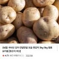 국내산 햇감자 3kg (5,800원/무배)