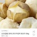 전라도 햇 수미감자 못난이 10kg (6,710원/무료)