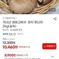 국내산 생표고버섯 파지 못난이 2kg (10,460원/무료)