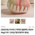 아삭하고 딱딱한 팔팔백도 복숭아 4kg11과~13과(35,000원/무배)