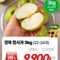 아오리사과 3kg 23과내외(9900원/무배)