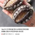 국내산 활 전복 10~11미 1kg (19,900원/무배)