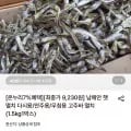 남해안 햇 멸치 고주바 멸치 1.5kg (9,320원/무료)