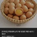 무항생제 난각번 유정란 40구 (15,900원/무료)1