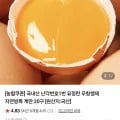 난각번호1번 유정란 무항생제 자연방목 계란 20구(7,440/네멤무배)