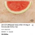 비파괴 당도선별 씨적은 수박 5kg (13,640원/무료)
