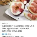 영암 노지 햇 무화과 kg 10-16과 (12,810원 / 무료)1