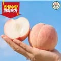 딱딱이 백도 복숭아 2kg 대과 (12,900원 / 무배)