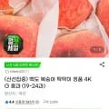 백도 복숭아 딱딱이 정품 4KG 중과 (9-24과) (14,520원/무료)1