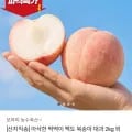 딱딱이 백도 복숭아 대과 4kg (19,900원 / 무배)