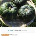 미니 보우짱 실중량 4.5kg 250~650g내외 (10,410원/무료)