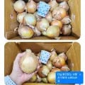 26년 5kg 장아찌용(4,760원/무배)