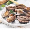 완도 활전복 9-15미 산소포장 1kg (15,900원/무료)