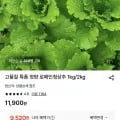 특품 정량 로메인청상추 kg (9,520원/무료)1