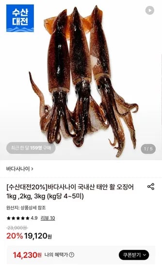 국내산 태안 활 오징어 1kg 4~5미 (14,230원/무배)