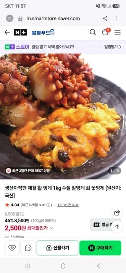 생산자직판 제철 활 멍게 kg(2,500원/무료)1