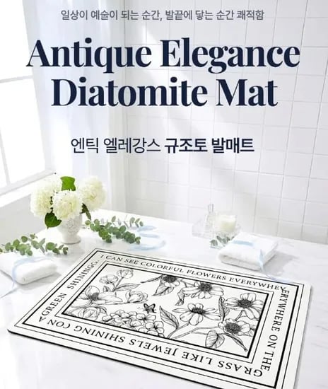세탁가능한 규조토 발매트 2개 9,400원