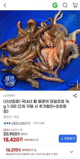 국내산 활 돌문어 당일조업 1kg 1-3미 (18,420원/무배)