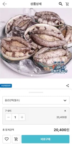 국산(전남) 활전복 1KG -9마리 (12,240원/무료)7