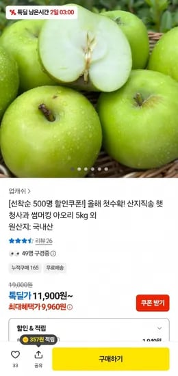 산지직송 햇 썸머킹 아오리 청사과 소과 5kg (9,960원/무료)