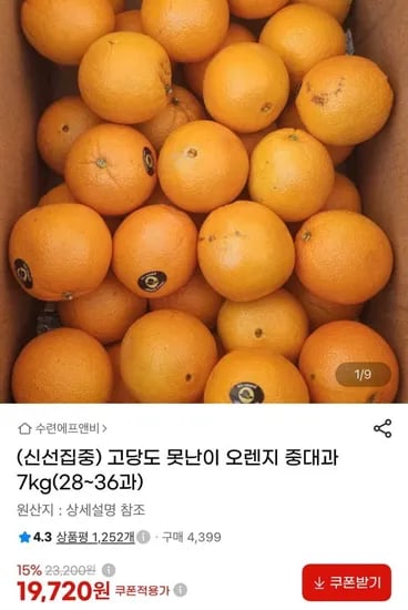 호주산 못난이 오렌지 7kg