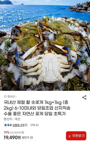 활 숫꽃게 1kg 1+1 총 2kg 6-10미