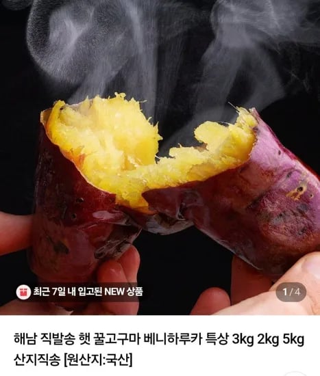해남 직발송 햇 꿀고구마 베니하루카 특상 3kg (13,900원/무배)