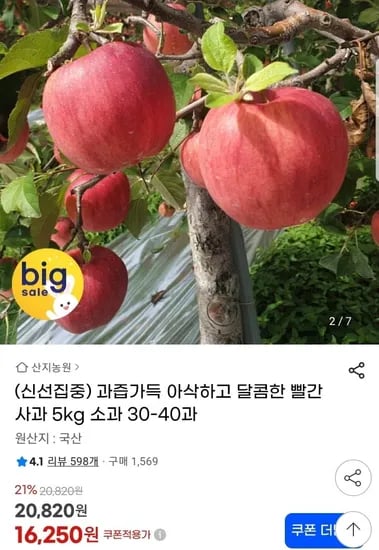 과즙가득 홍로사과 5kg (6250원/무배)1
