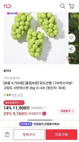 고당도 샤인머스켓 2kg 3~4수 (카카페 9,760/무배)