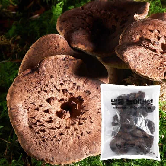 능이버섯 1kg 1봉지