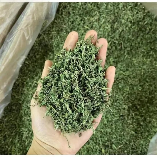 코나에코홈 방수비데 70000원 아메리칸스텐다드 아쿠아 비데 130000원