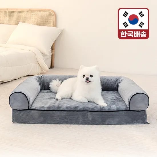 강아지집 고양이집 애견 하우스 12개입