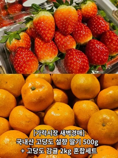 설향 딸기 500g 감귤 2kg