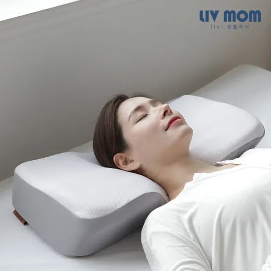 멜킨 스마트 즈위프트 접이식 실내 자전거