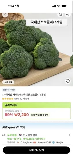 브로콜리 1개입 외 채소 5종
