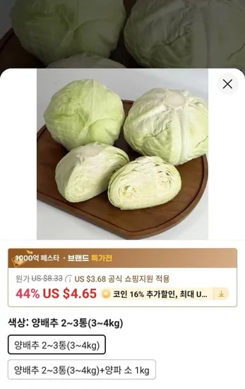 전라도 무안 양배추 2~3통
