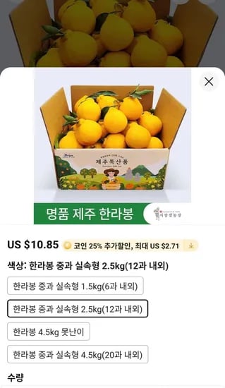 제주 한라봉 중과 실속형 2.5kg 12과 내외