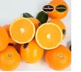 오렌지 블랙라벨 13brix이상 당도선별  10과 1.5kg(6,314원)/무배