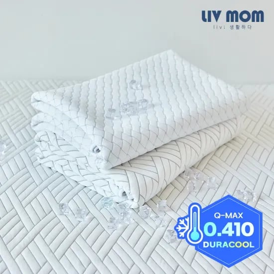 더자리 냉감 여름쿨링 자루형 베개커버 1+1 7,961원, 냉감 홑이불 13,595원, 아담데코 냉감 쿨매트 17,539원